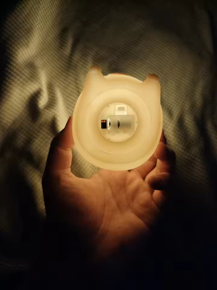 Cute Pet Capybara Night Light Cute Cartoon Silicone Creative Bedside Sleep Night Lamp For Children's Room Decor Birthday gift